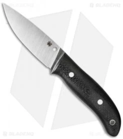 Spyderco 55 Spyderco Proficient Fixed Blade Knife Carbon Fiber (4" Satin) FB36CFP